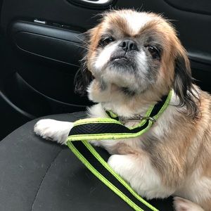 Meet your Posher, Ericka